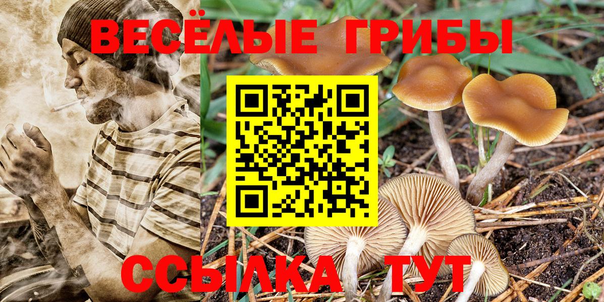 Галлюциногенные грибы Magic Shrooms  Псилоцибиновые грибы Cubensis  Вход с VPN  Тара 