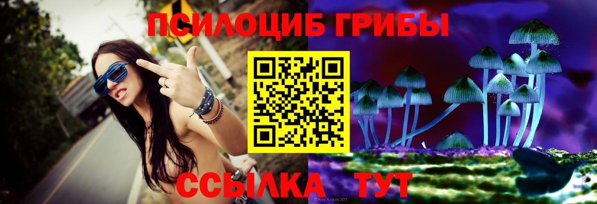 Галлюциногенные грибы Cubensis Тара
